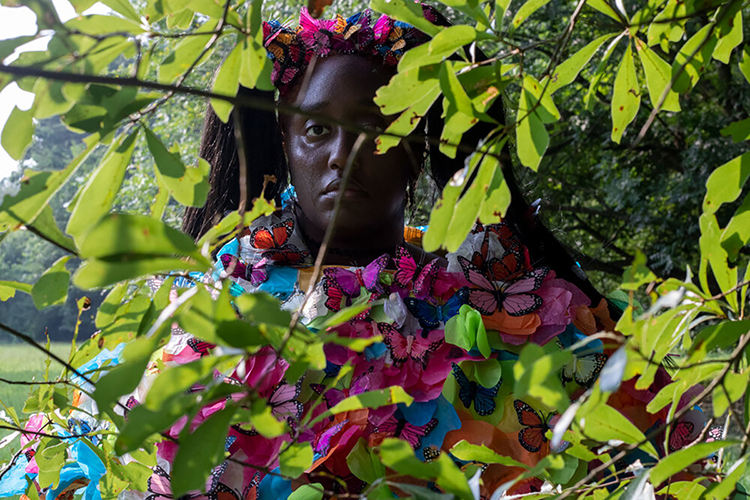 a person wearing a costume made of fake butterflies stands outside behind the leaves of a tree